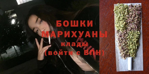 молекула духа Балахна