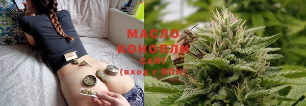 молекула духа Балахна